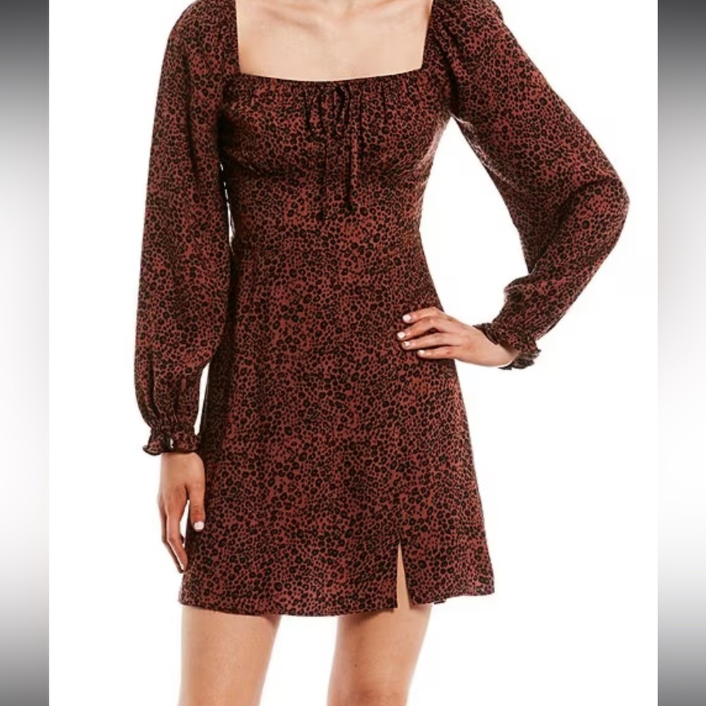 Animal Printed Long Sleeve Tie Front Mini Dress